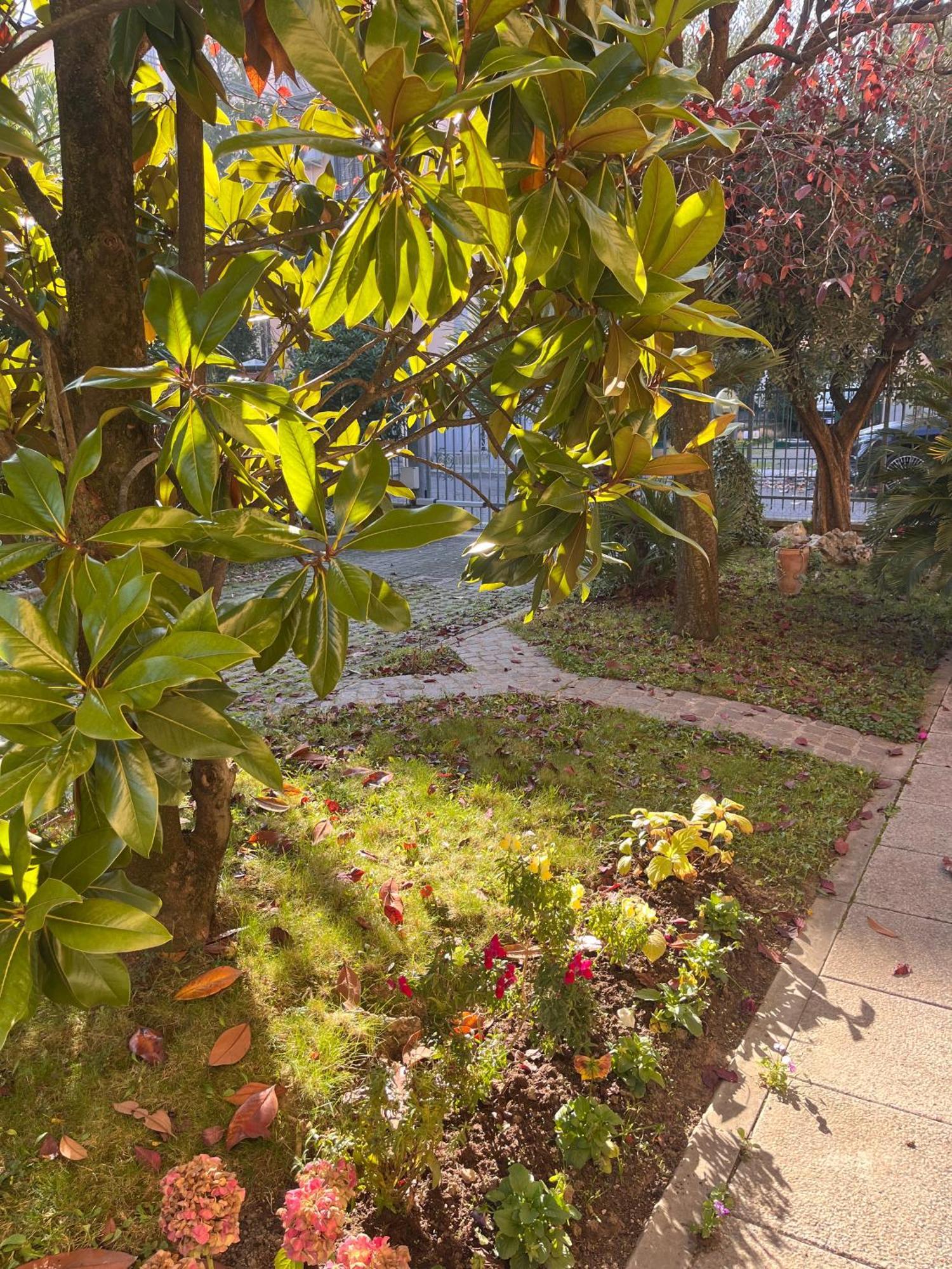 Bloom As You Are — Photos 2